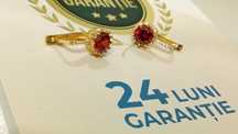 Cercei Aur 14k(AG20 Dancu/b28648.7*20)