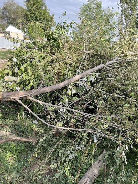 Қыстық Отын.Драва на зиму