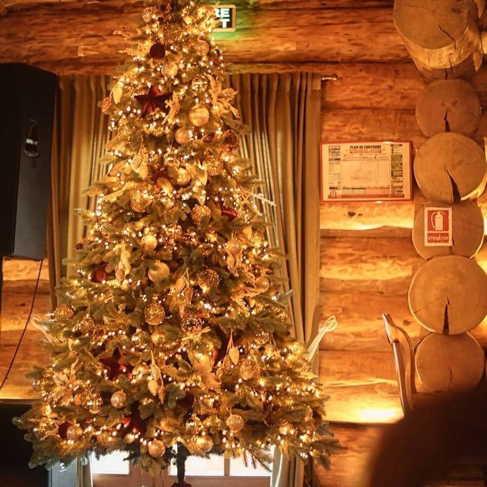 Case cabane din lemn rotund bustean