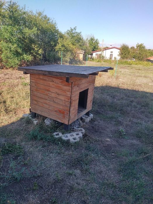 Кучешка къща колиба