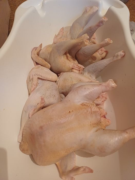 Домашние свежие куры бройлеры ,несушки бульонные