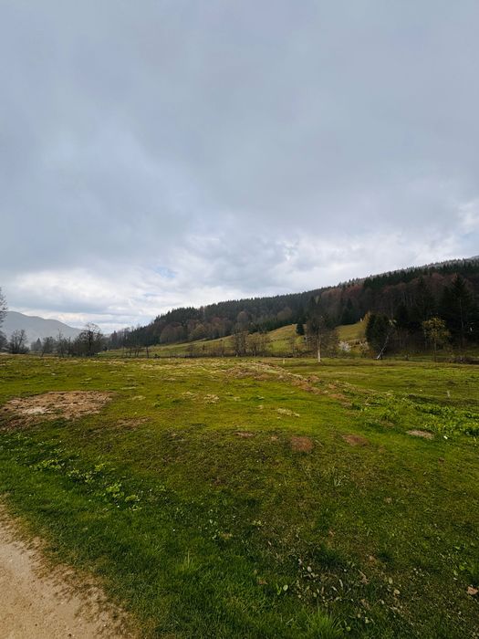 Teren de Vânzare jud. Brasov