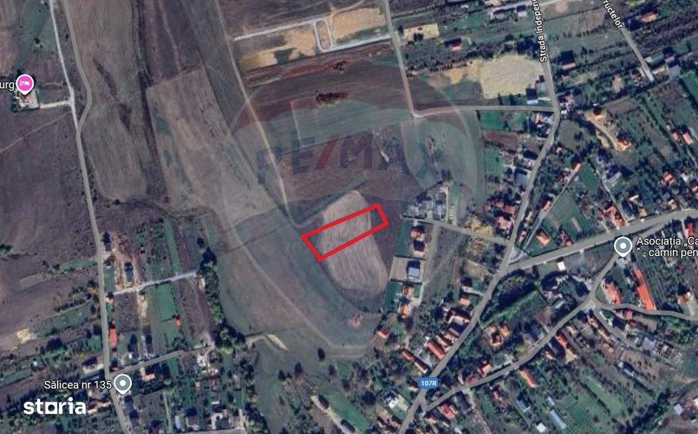 Teren intravilan de vanzare in Salicea, 3000 MP