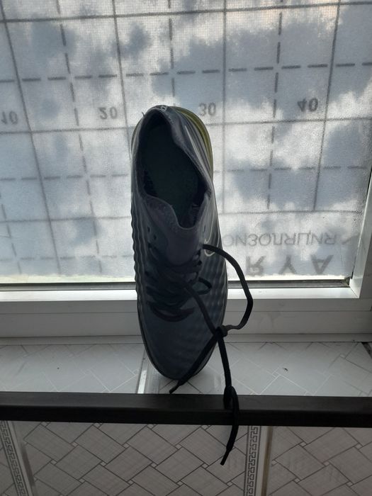 Magista sarakanojka sotiladii