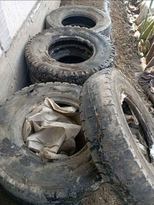 Отдам бесплатно балоны для септика