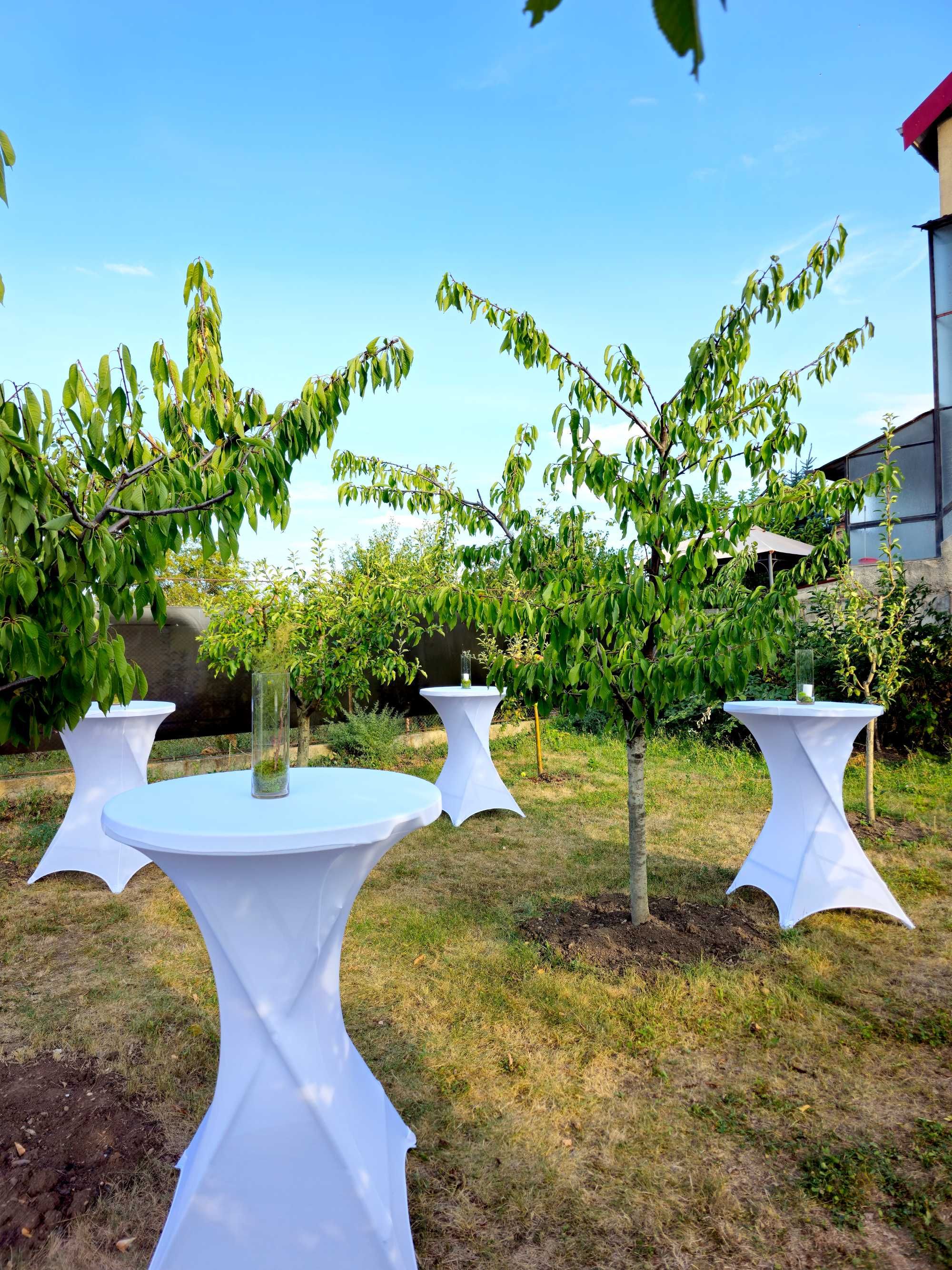 Inchirieri mese cocktail/ standing/ evenimente