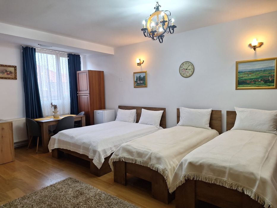 Revelion/Cazare - cabana in Bihor-Vadu Crisului