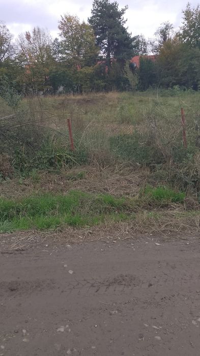 Teren de vânzare în Cisnădioara