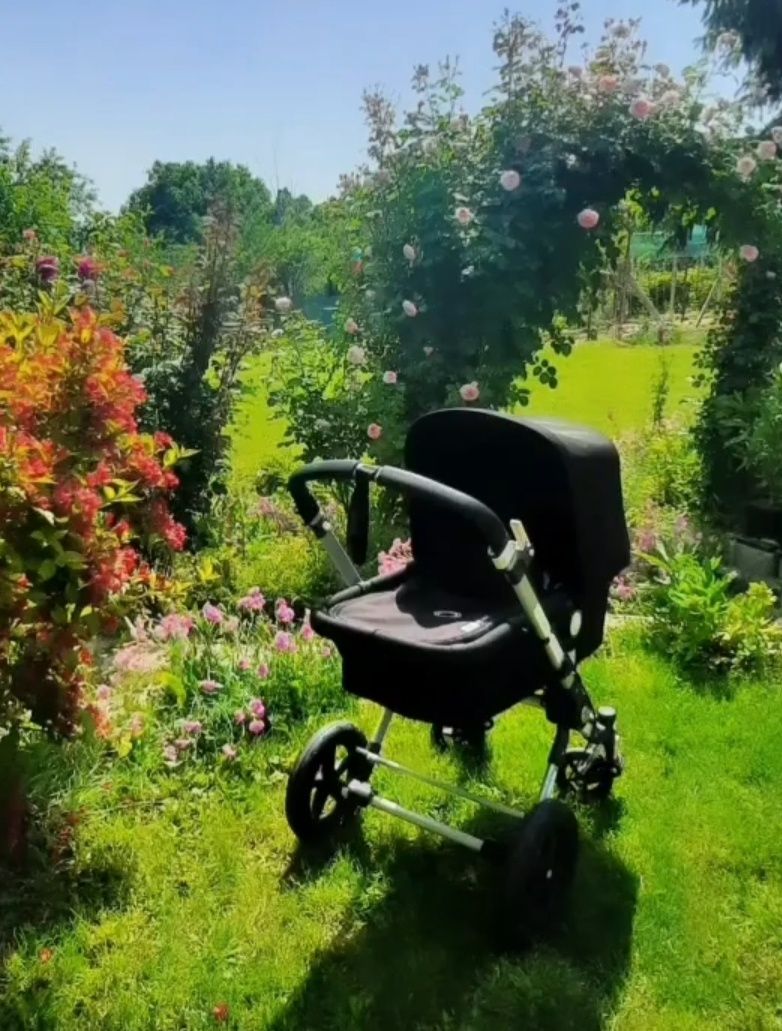 Bugaboo Cameleon 3