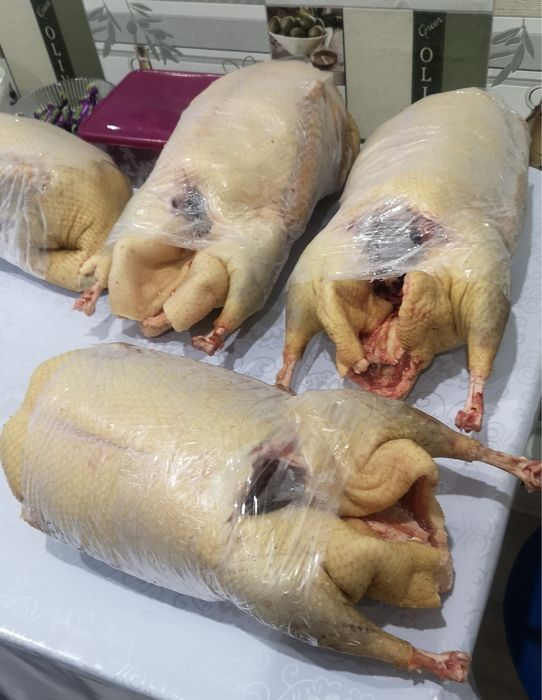 Домашние гуси тушками!