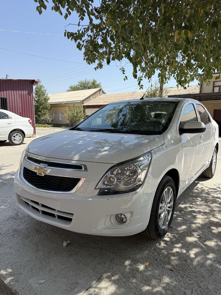 Chevrole Cobalt 4-P Style Pachka Nomingizga Chiqadi Notarius tekin