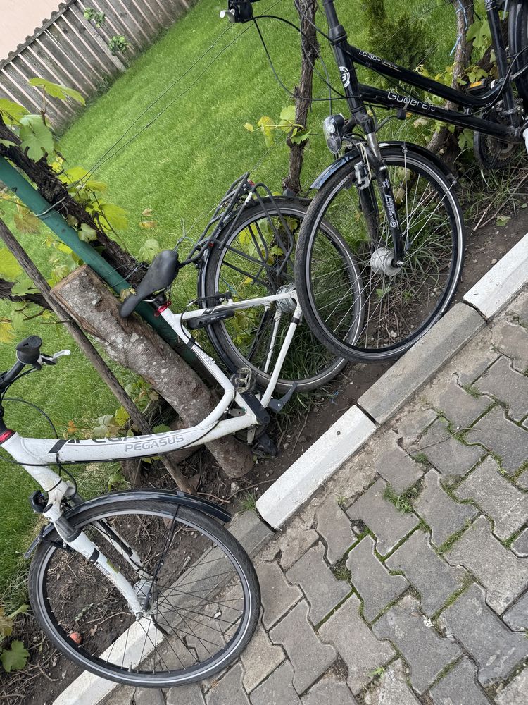 Vand Biciclete dama Mtb Hidraulice pliabile ktm pegasus bulls