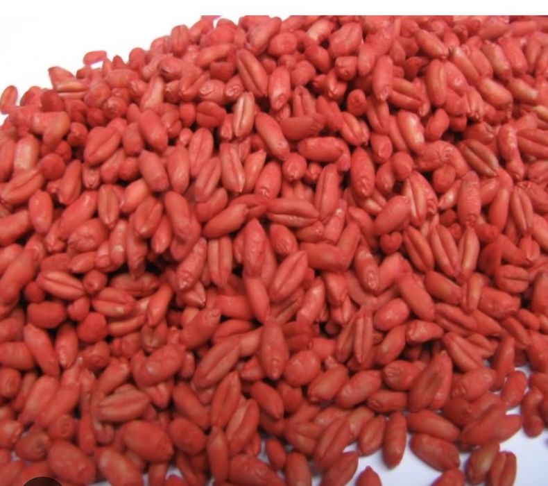 grâu de samanta anapurna pg 102