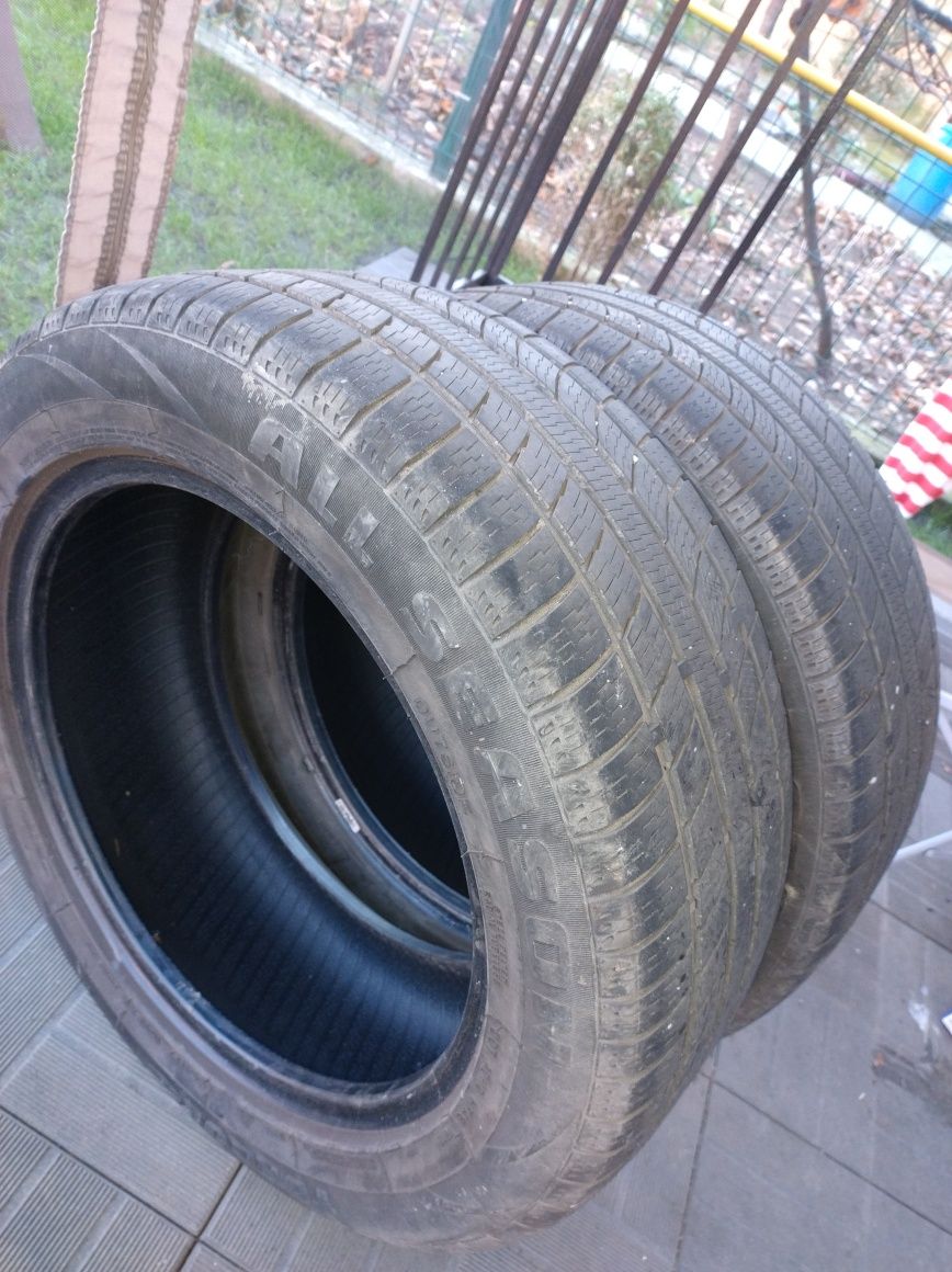 225/55R17 All Season