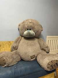 Teddy ayiq. Original.