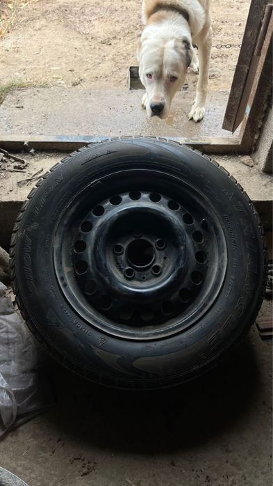 Зимние шины с дисками 195x65x15