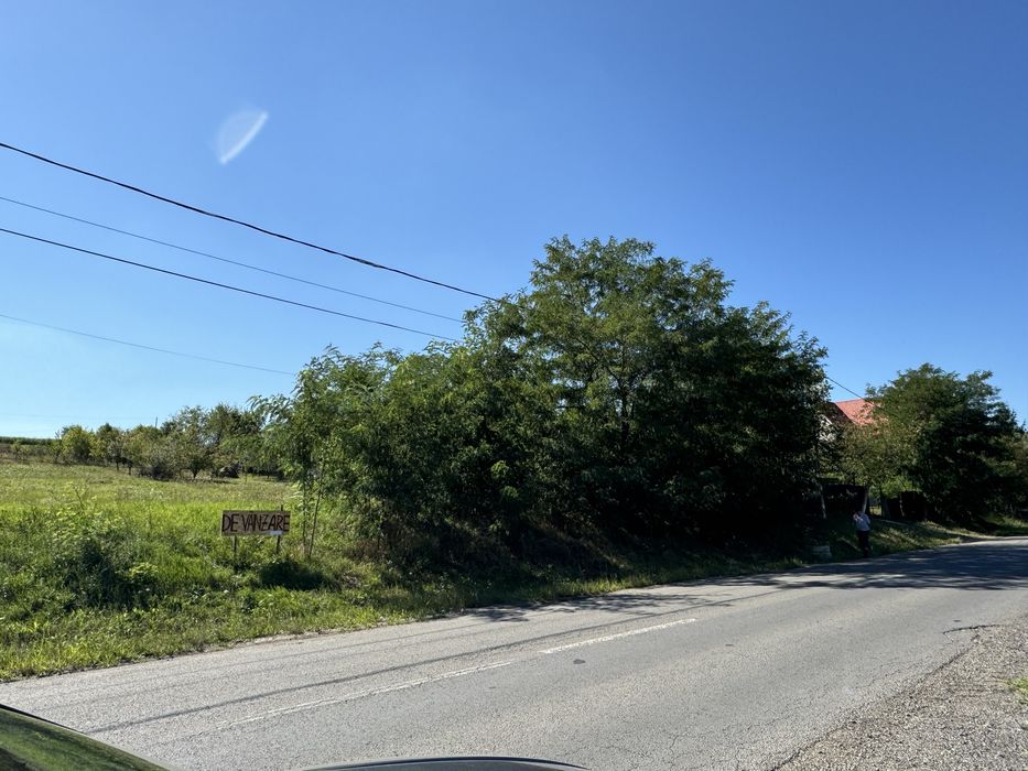Teren de vanzare  Ceuasu de Campie