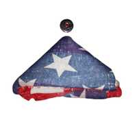 Steag american Poster Tapestry Flag steag decorativ