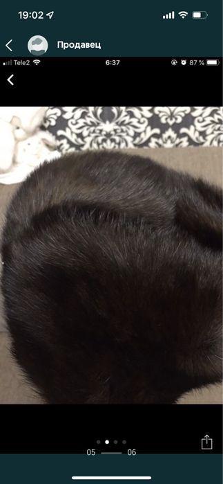 Продам шапки и шарф