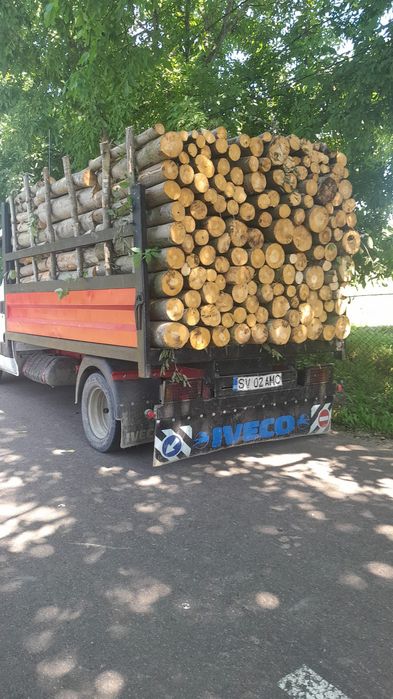Lemne de foc la domiciliu