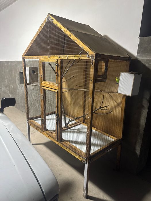 Валер арзон нархда 4 та тоти куши бонусига