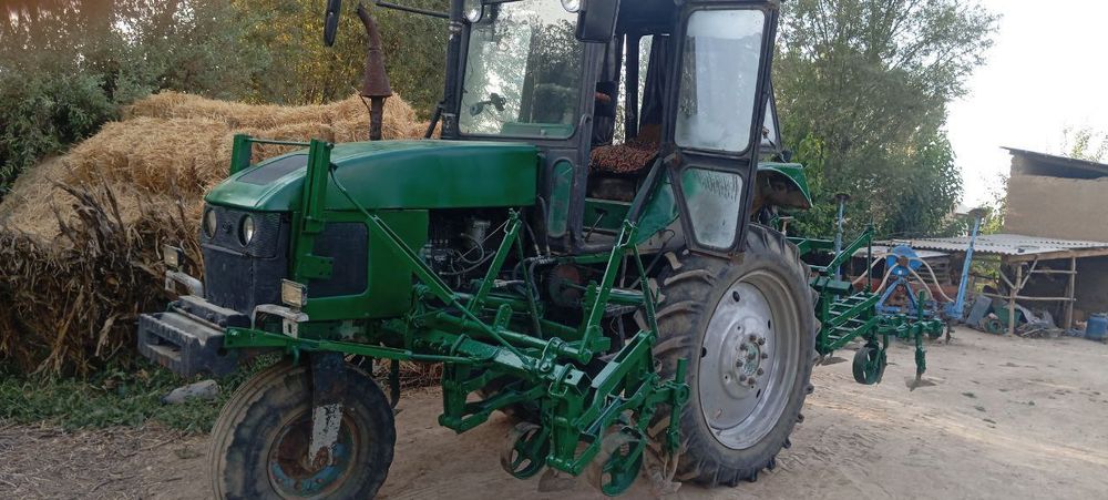 TTZ.80 traktir kultvasiyasi 70.76 qatorga tushadi