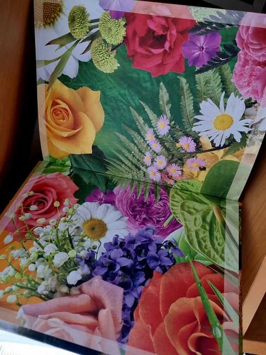 Gradina In RUSA full color Enciclopedia Plantelor Gradinarului 350 pag