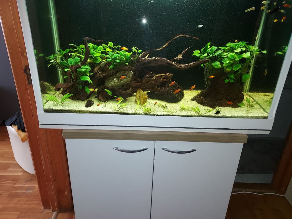 Vând acvariu de200 litri