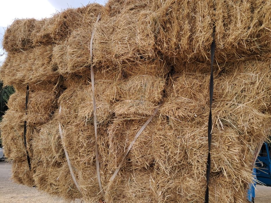 Сомон хашак беда прес бор