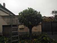 Lucrari de gradinarit