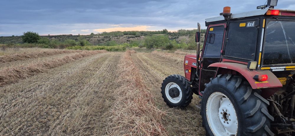Baloti paie de grâu, de ierburi, de iarba de sudan/maturi. Producator.