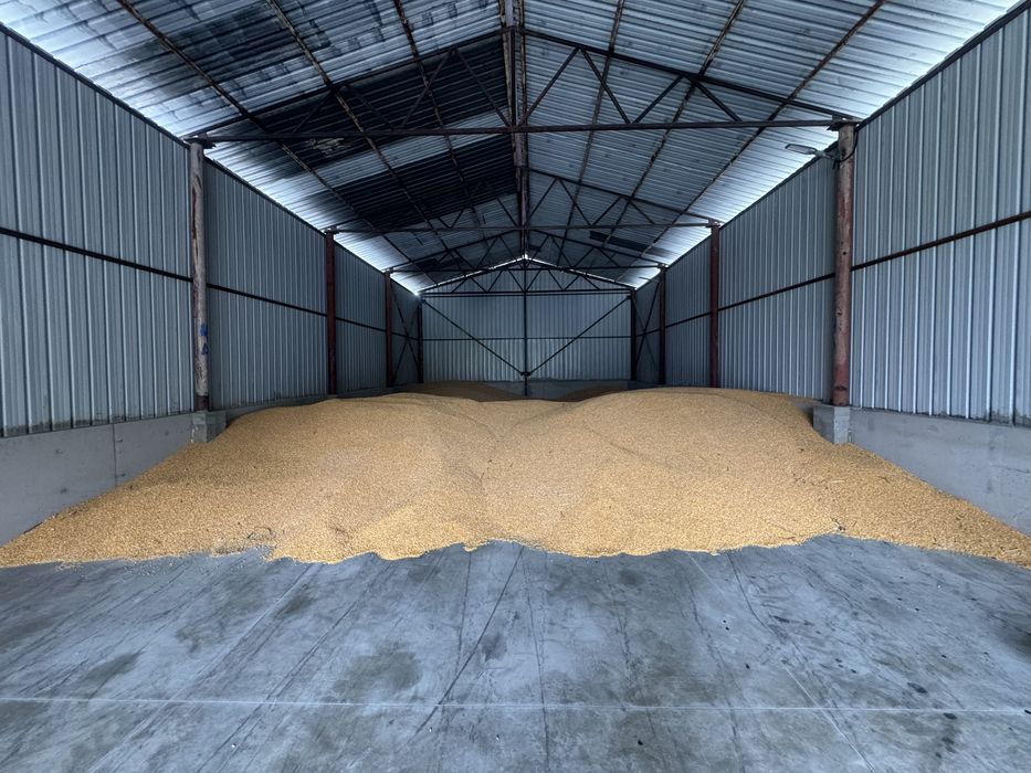 Продавам царевица