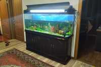 аквариум 200 литров с рыбками