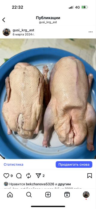 Гуси, утки домашние