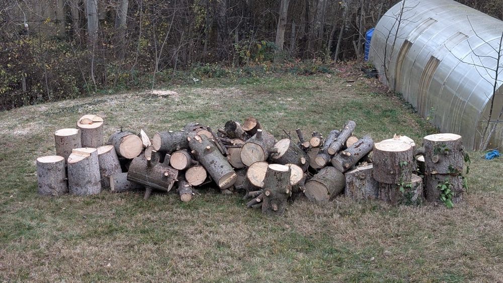 Три кубика отрязана секвоя