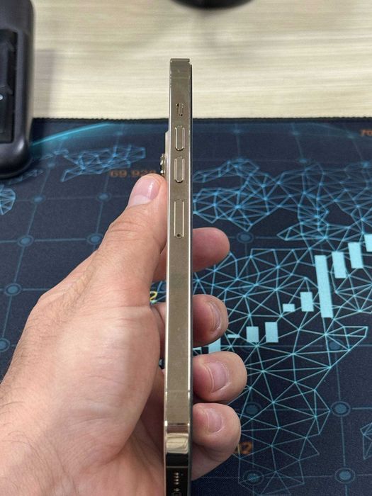 iPhone 13 Pro Max (Gold, 256GB)