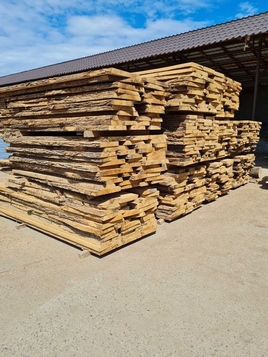 Cherestea stejar netivita verde