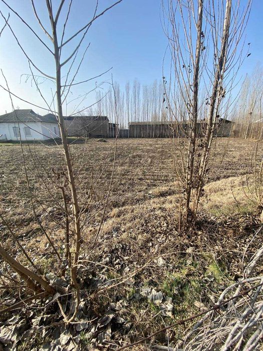 Куйи Чирчикда 10 соток ер майдони сотиляпти