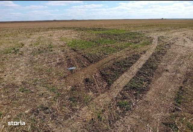 Teren extravilan cota parte 1/2 Alexandria, ID: R2814838