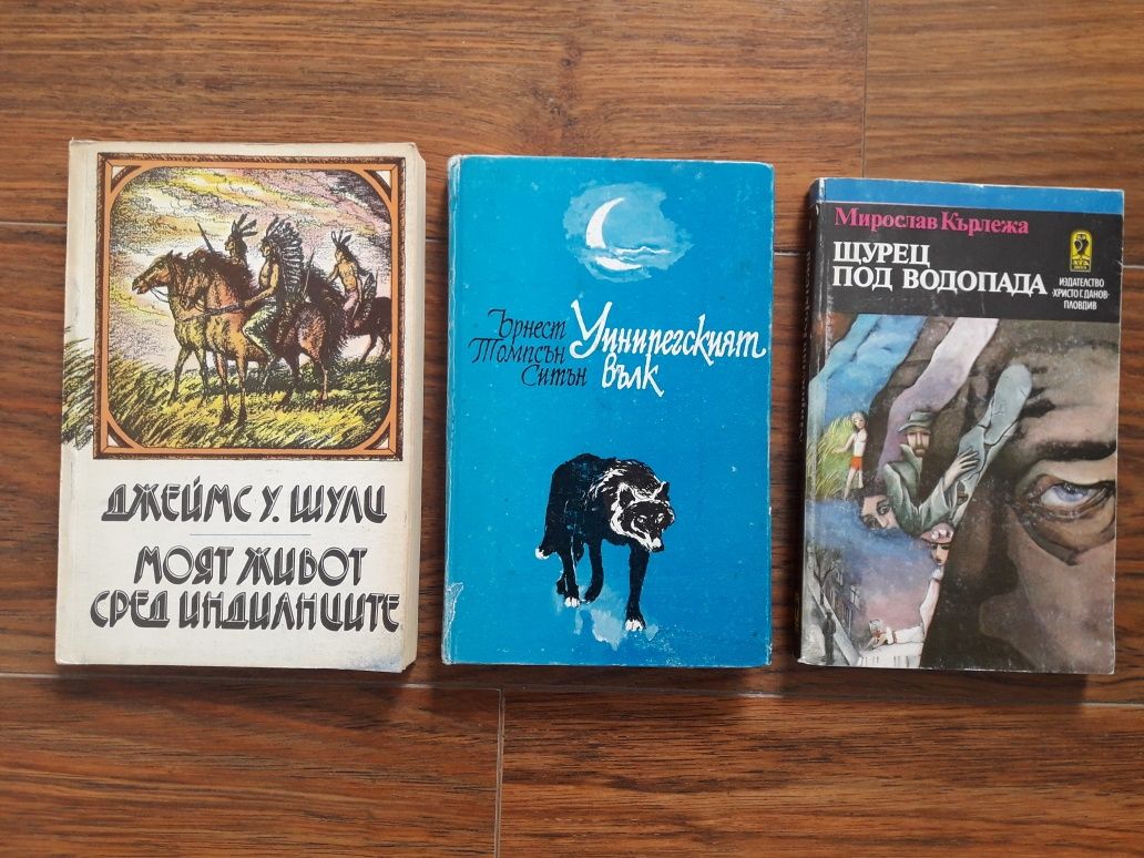 Книги чуждестранна литература