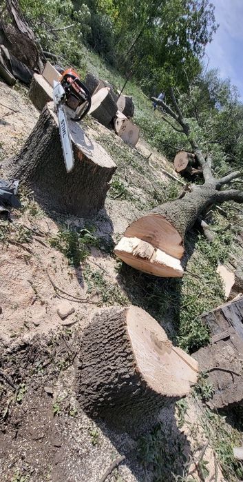 Toaletare copaci/tăiere/cosmetizare/transport basculabil/diverse lucra