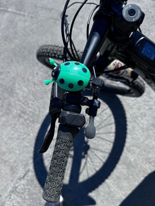 Bicicleta Rocky Mountain Reaper PP 24