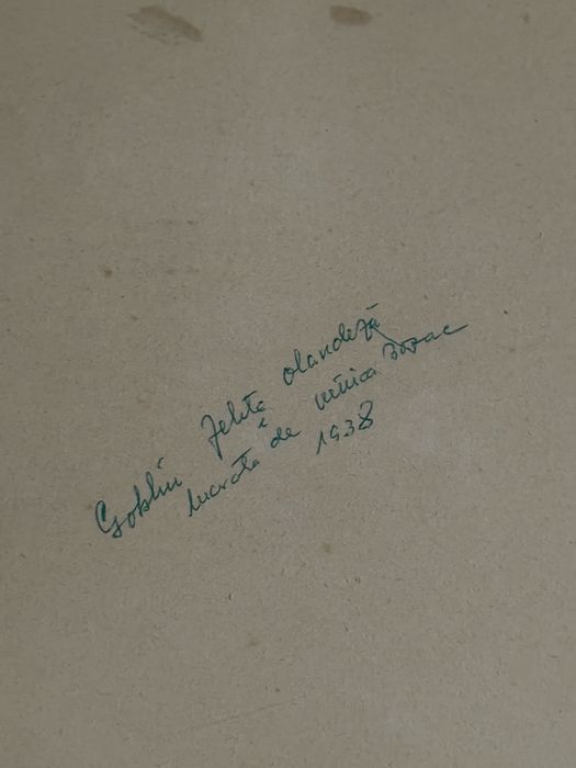 Goblen interbelic cusut manual