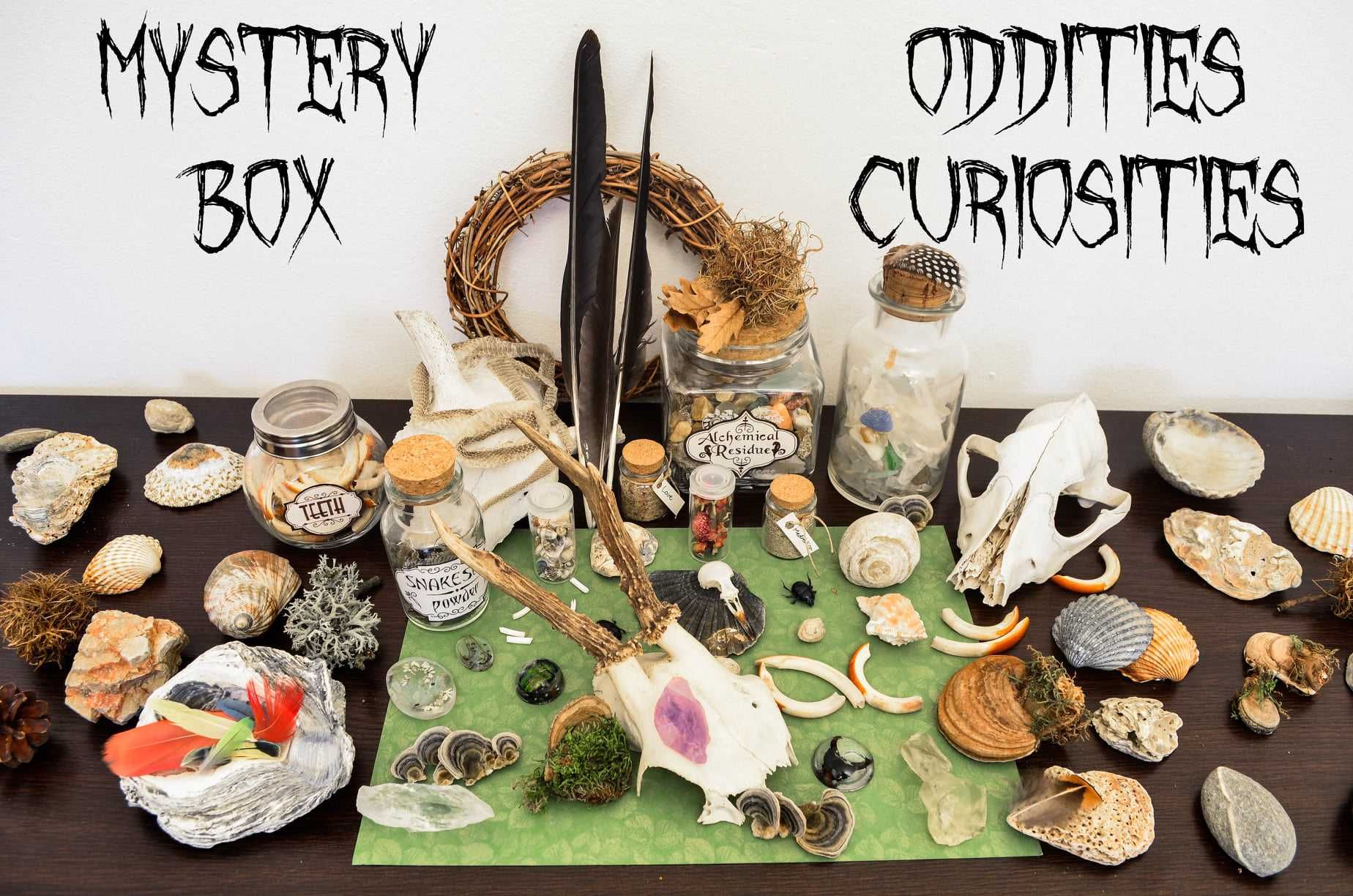 Mystery Box - curiozitati ciudatenii naturale cranii fosile cristale