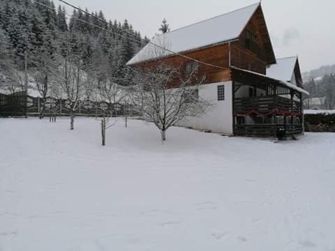 Închiriez Cabană pentru Crăciun și perioada 02-04.01.2026 în Albac