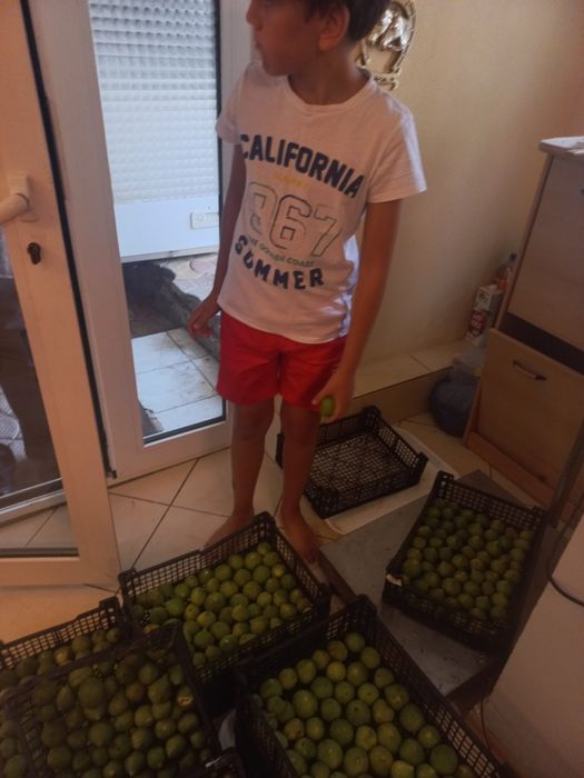 Vindem Smochine DULCI.