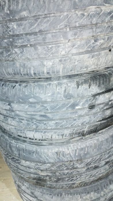 15 lik boʻlib sotiladi