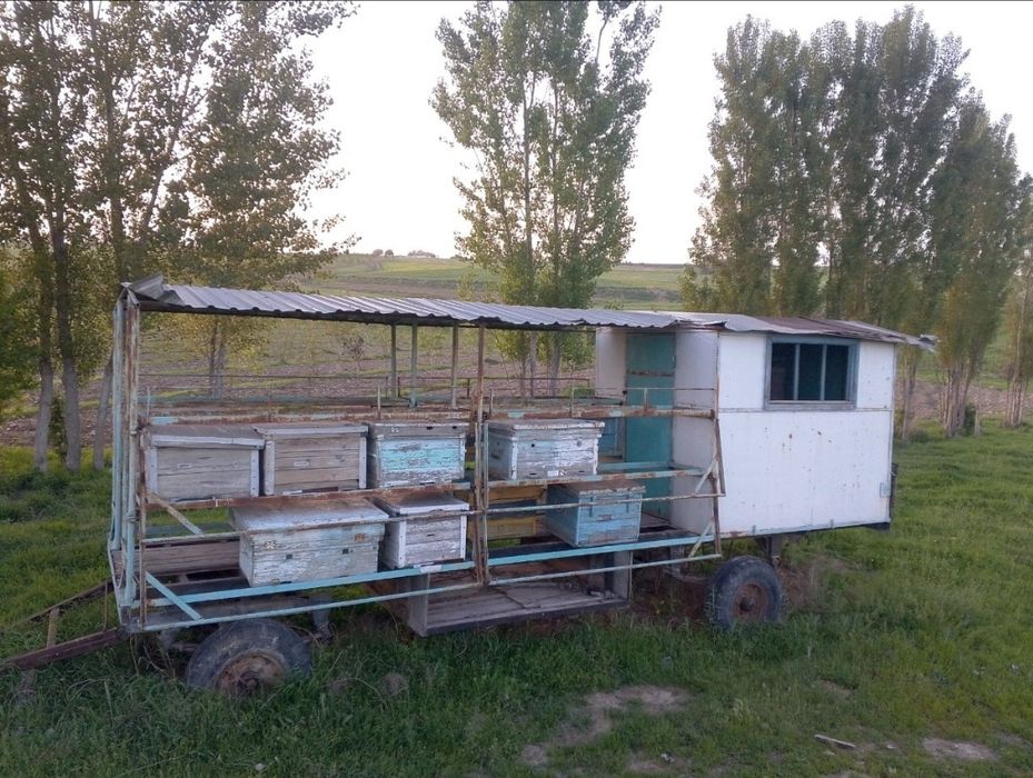 Асалари прцеп яшиклари билан сотилади