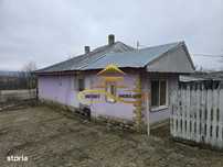 Casa de vanzare cu 5000 mp teren in Parincea cu livada si iaz