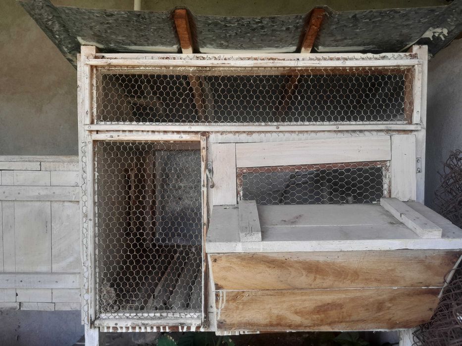 продавам зайчарници